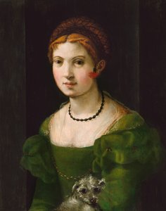 Genç Bir Kadının Portresi, 15301540. by Unbekannt