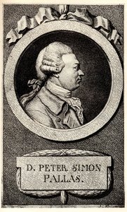 Zoolog ve botanikçi Peter Simon Pallas