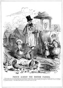 İngiliz Çiftçi Prens Albert, 1843 by Unbekannt