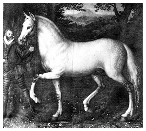 Kraliçe Elizabeth attır, 1896 by Unbekannt