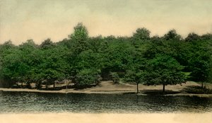 Queensmere, Wimbledon Common, Londra, 1903. by Unbekannt