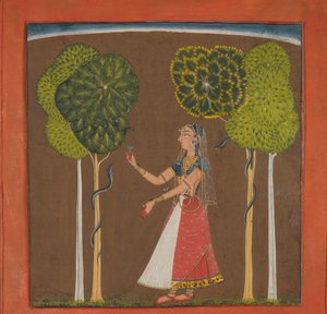 Ragini, Olası Asvari: Ragamala Serisinden Folio, yaklaşık. 1700-1710. by Unbekannt