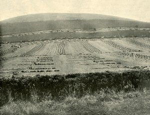 Orakçı ve Bağlayıcı Yarışması, Blowhard Dağı, Ballarat yakınında, 1901. by Unbekannt
