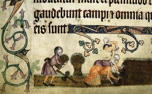 Hasat ve bağlama demetleri Luttrell Psalter