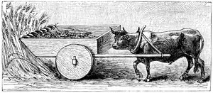 Pliny, c1890 tarafından tarif edildiği gibi, Antik Roma döneminde Galya