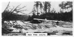 Red Pine Chute, Kanada, c1920s by Unbekannt