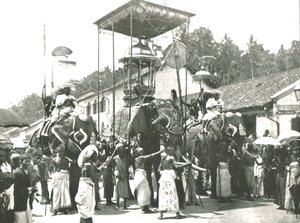 Dini alayı, Kolombo, Seylan, 1895. by Unbekannt
