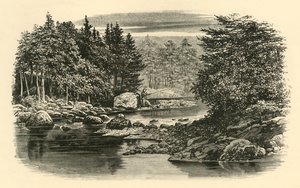 Nehir Sahnesi, Langdale, c1890. by Unbekannt
