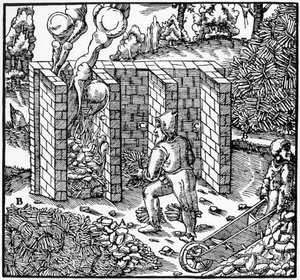 C, 1556