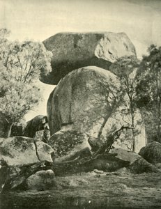 Robins Gözcü, Yeashire, 1901. by Unbekannt