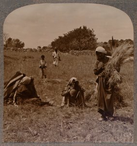 Ruth Boaz Tarlalarında ot toplarken, c1900 by Unbekannt
