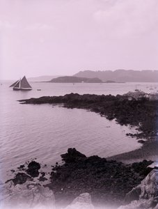 Devon