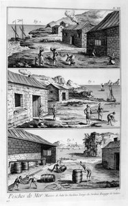 Sardalyaların tuzlanması, yıkanması, paketlenmesi, 1751-1777 by Unbekannt