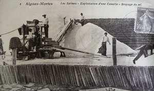 Saltworks, Camargue, Aigues-Mortes, Provence, Fransa (s/b fotoğraf) by Unbekannt