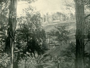 Yukarı Gembrook