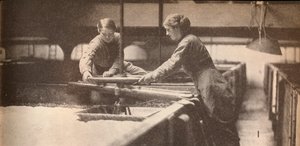 Burton-On-Trent Bira Fabrikasında Mayayı Sökmek, c1916, 1935 by Unbekannt