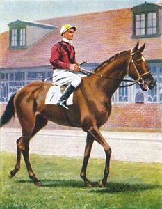 Senor, Jokey: J. Crouch, 1939 by Unbekannt