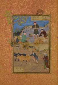 Shaikh Mahneh ve Köylü, Bir Mantiq al-tair Language of the Birds