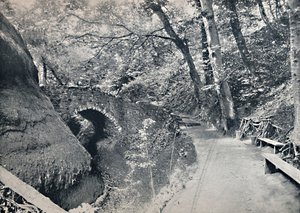 Shanklin - Çin, 1895 by Unbekannt