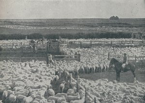 Avustralya