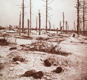 Kabuklar, Verdun, kuzey Fransa, c1914-c1918 by Unbekannt