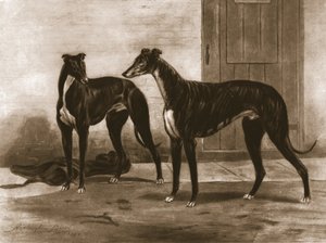Simonian ve Fullerton, c1891, 1911. by Unbekannt