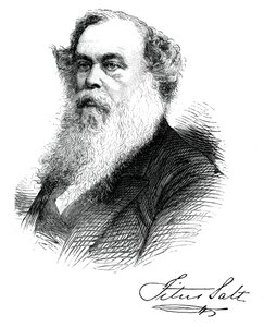 Sir Titus Tuz, İngiliz üretici ve hayırsever, c1880 by Unbekannt