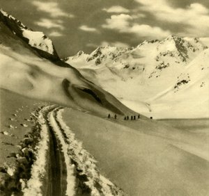 Stubai Alpleri