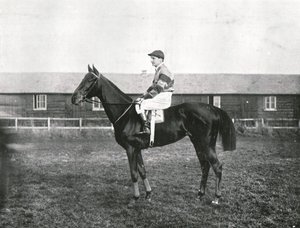 Gökdelen, 1911. by Unbekannt