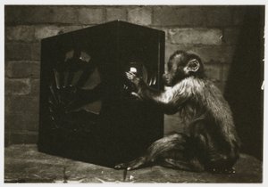 1935