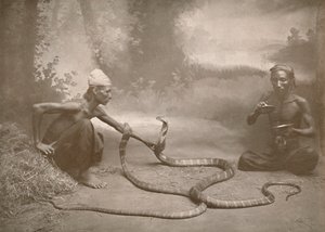 Hamadryads ile Yılan Oynatıcılar Kuy Kobralar, 1900. by Unbekannt