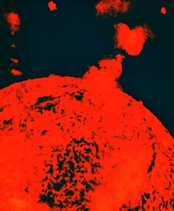 Güneş patlaması by Unbekannt