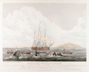 Güney Denizi Balina Balıkçılığı, 1825 by Unbekannt
