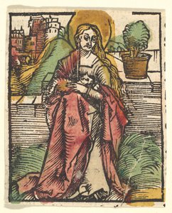St. Agnes kopyası, 1512
