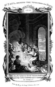 Elinden engerek sallayan Aziz Paul Havari, c1808 by Unbekannt