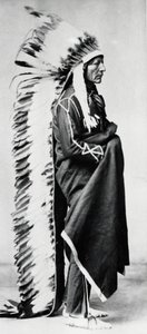 Ayakta Ayı, Dakota Sioux Şefi, Kuzey Amerika Plains Kızılderilileri, c1885-c1890 by Unbekannt