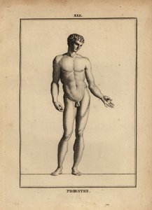 Orestes heykeli, çıplak, Yunan mitolojisinde Agamemnon'un oğlu by Unbekannt
