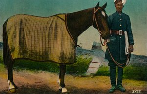 Syce, c1910 by Unbekannt