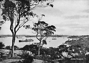 Sidney Limanı, Cremorne Point