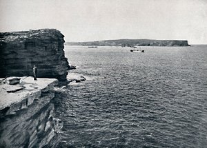 Sydney Heads, Watsons Bay