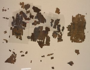 Yuvarlak kanatlı aslanlı taqueté parçaları, 899-1160. by Unbekannt