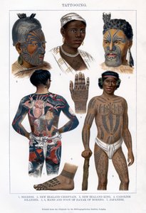Dövme, 1800-1900 by Unbekannt