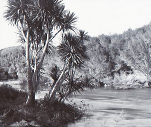 Te Waihou Nehri, Okoroire, 19. yüzyılın sonları - 20. yüzyılın başlarında. by Unbekannt
