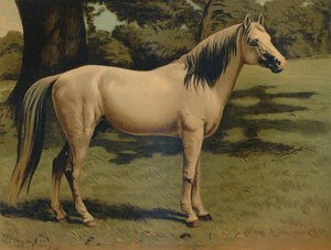 General Sir Hope Grant