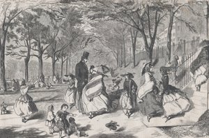 Boston Common Harper