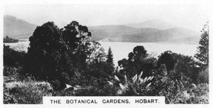 Botanik Bahçeleri, Hobart, Tazmanya, 1928 by Unbekannt