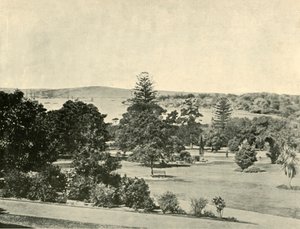 Sidney Botanik Bahçeleri, 1901. by Unbekannt