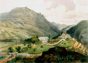 Briars, St Helena, 19. yüzyılın başlarında 1851 by Unbekannt