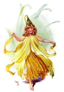 Nergis, 1899 by Unbekannt