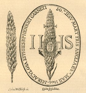 Samandaki Yüz. - Abbots Anthologia'dan, 1613, 1897. by Unbekannt